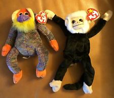 Beanie monkeys